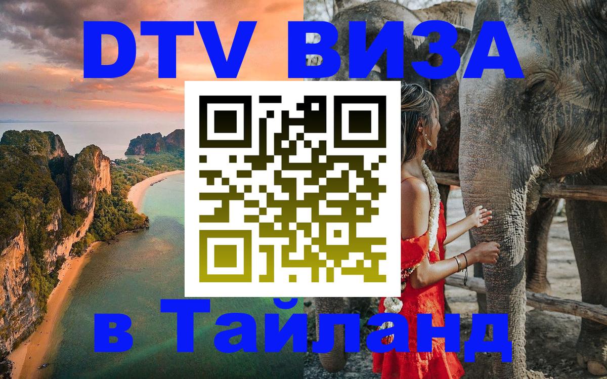 Сколько стоит DTV виза — актуальные цены, оформление даже без документов - 06.12.2025 